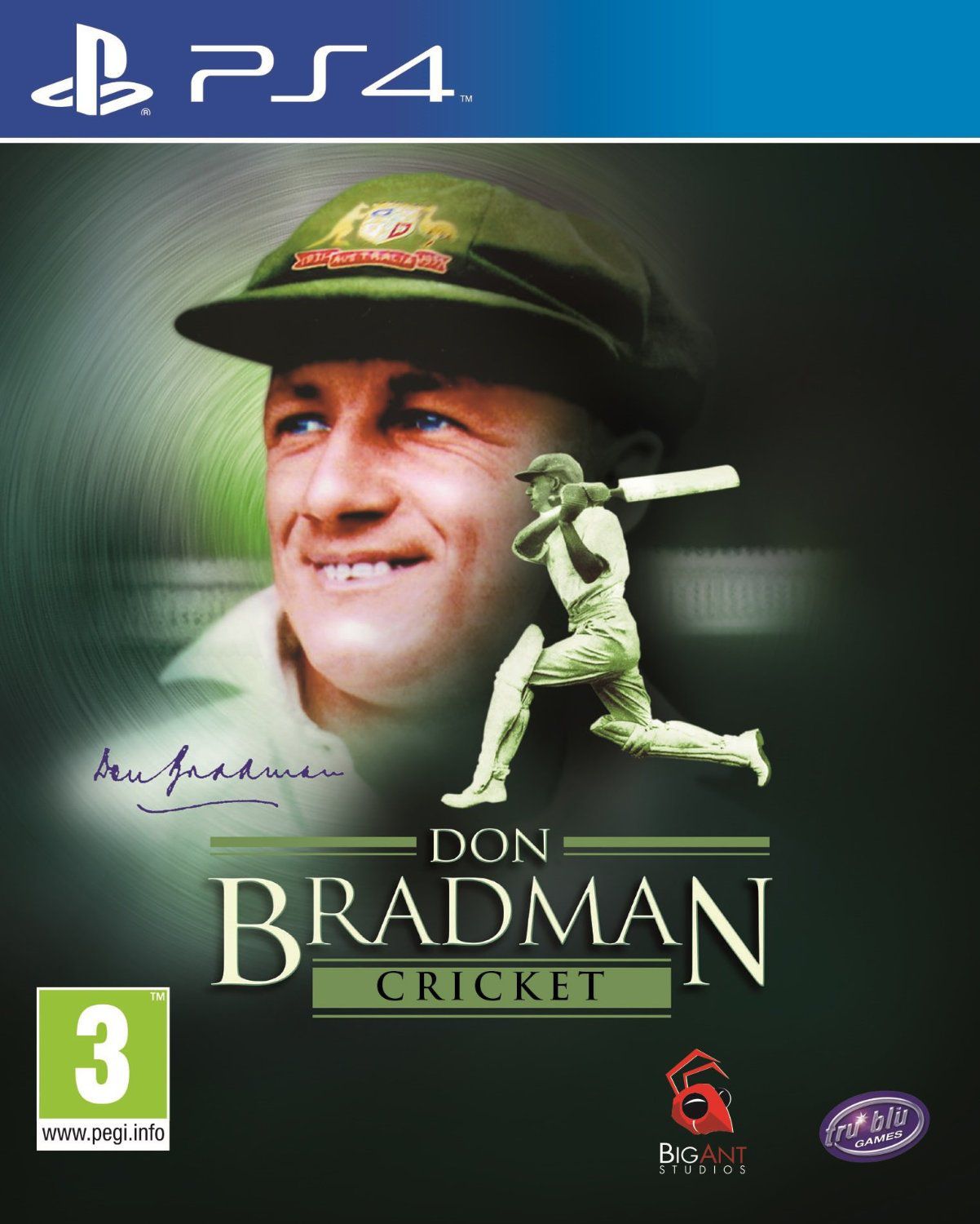 don bradman cricket 19 download